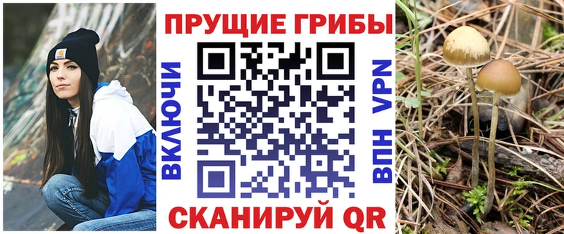 Псилоцибиновые грибы Magic Shrooms  Слюдянка 